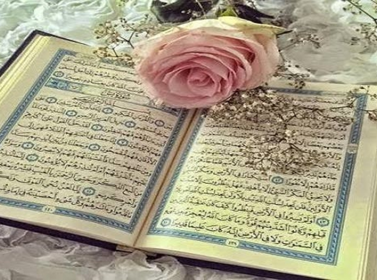 قرائت قرآن اولویت است یا خواندن معنا