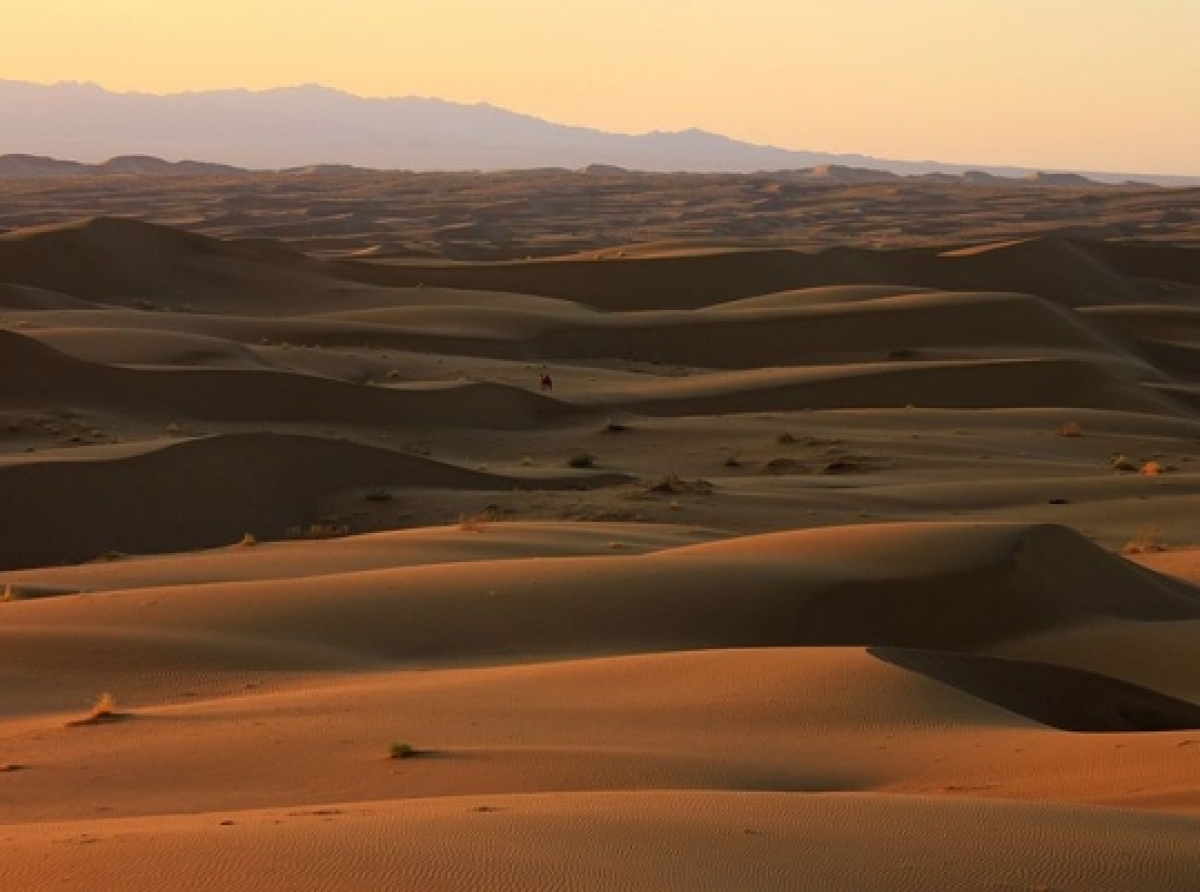 Central desert
