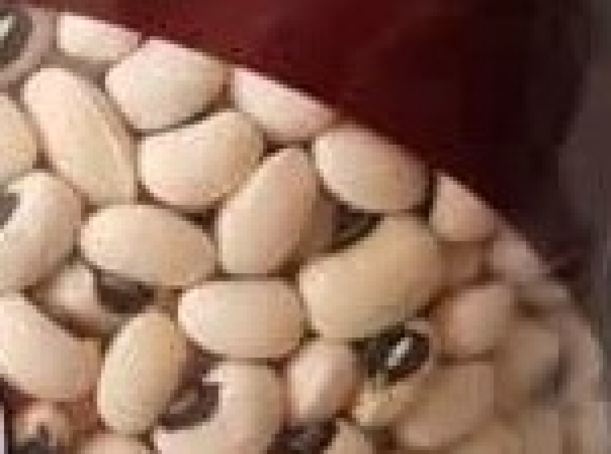 ,اسوه, موسسه, فرهنگی, قرآن, عترت, اسوه تهران