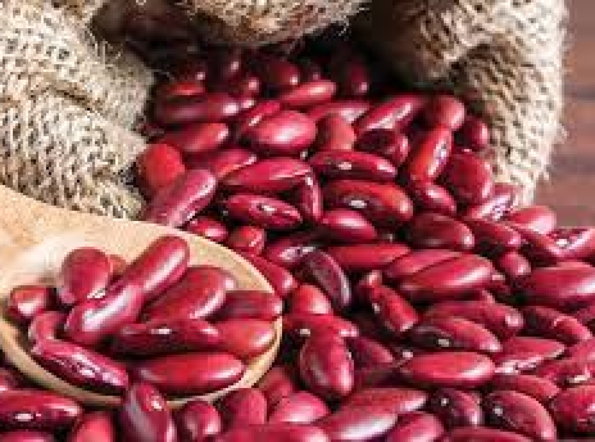 اسوه ,موسسه فرهنگی قرآن و عترت اسوه تهران,