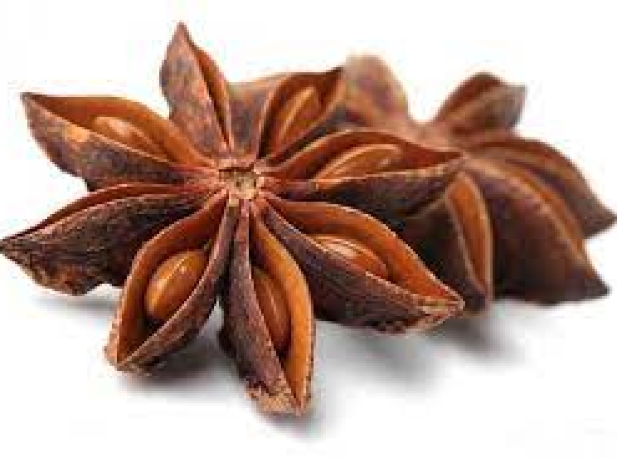 اسوه ,موسسه فرهنگی قرآن و عترت اسوه تهران,