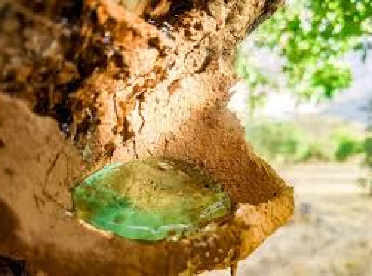 اسوه ,موسسه فرهنگی قرآن و عترت اسوه تهران,