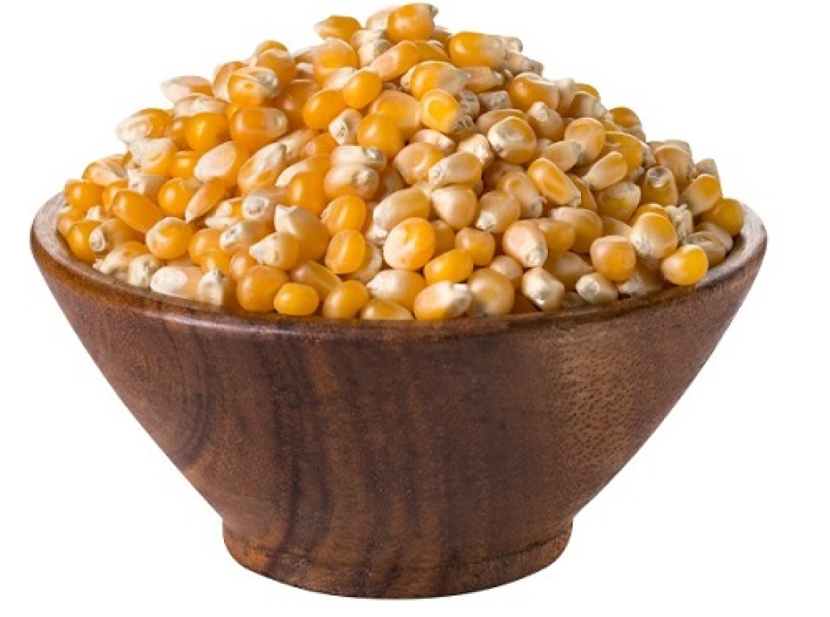 اسوه ,موسسه فرهنگی قرآن و عترت اسوه تهران,