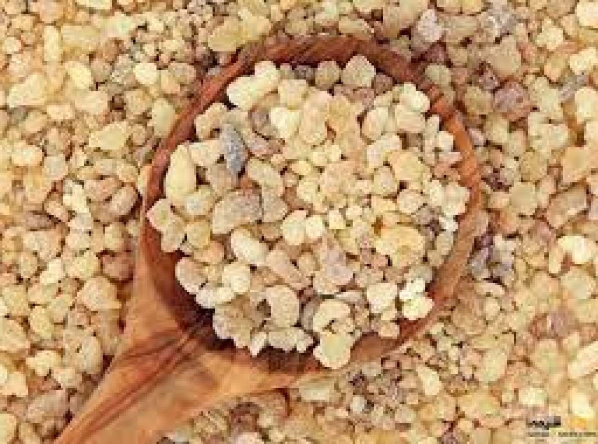 اسوه , موسسه فرهنگی قرآن و عترت اسوه تهران ,