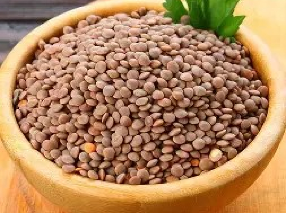 Osveh, Cultural Institute of Qur'an and Atrat Osveh,